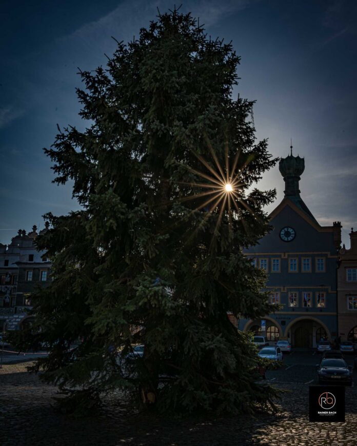ChristmasTree-24