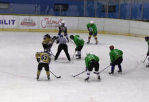 Fotogalerie: V Lovosicích právě probíhá benefiční hokejový turnaj