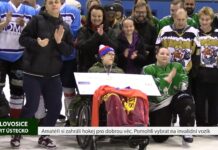 LOVOSICE: Amatéři si zahráli hokej pro dobrou věc. Pomohli vybrat na invalidní vozík