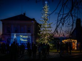 Fotogalerie: Rozsvícení vánočního stromu v Trnovanech objektivem Rainera Bacha