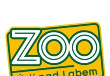 Volná místa: Grafik/Grafička pro Zoo Ústí nad Labem