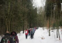 KČT Litoměřice pořádá zimní Přechod Dlouhého vrchu