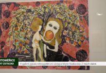 LITOMĚŘICE: V galerii začala retrospektivní výstava Marie Kodovská: Z mých dálek