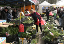 FOTOGALERIE: Začala Tržnice Zahrady Čech