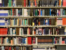 Volná místa: Knihovník/knihovnice v Městské knihovně Libochovice