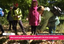 STRAČÍ: Akce Lesníci pro školy představila dětem péči o les až po výrobu papíru