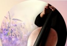 Litoměřice oslaví filmové legendy hudbou – Velký letní koncert uzavře oslavy 50 let s Pány kluky